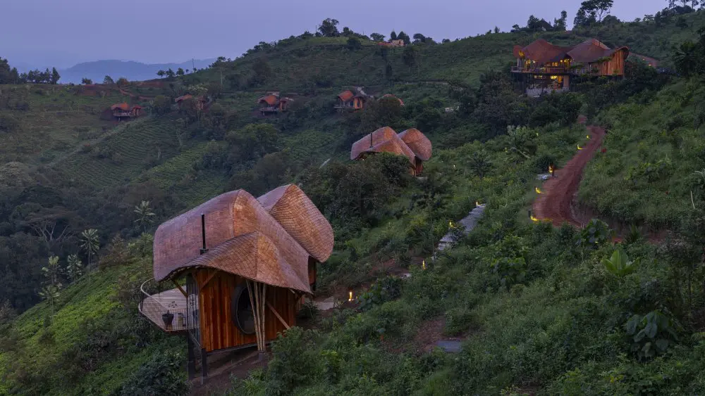 Erebero Hills, forêt impénétrable de Bwindi, Ouganda.